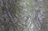 Warsop Vale fibreglass roof work